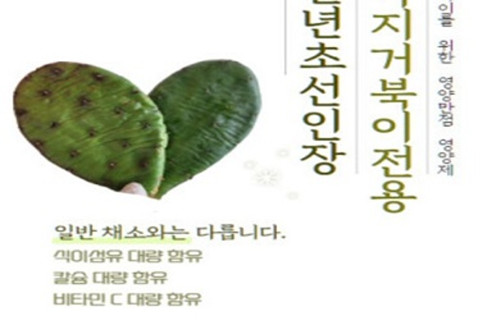 천년초 선인장 / 육지거북전용 사료 고함량 영양
